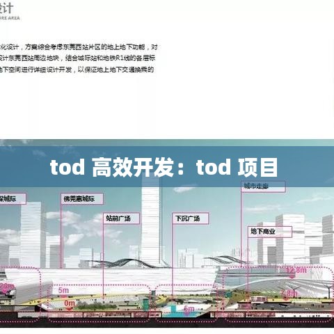 tod 高效開發(fā):tod 項目