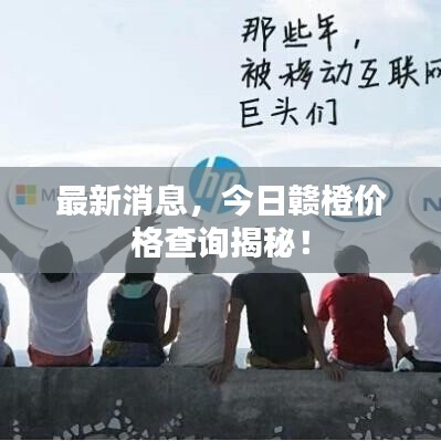 最新消息,今日贛橙價格查詢揭秘!