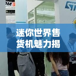 迷你世界售貨機魅力揭秘,排名與探索微型售貨機的無限魅力