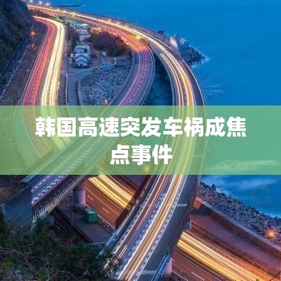 韓國(guó)高速突發(fā)車禍成焦點(diǎn)事件