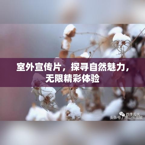 室外宣傳片,探尋自然魅力,無限精彩體驗(yàn)