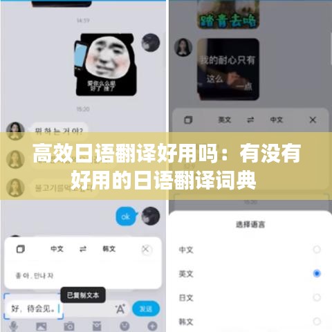 高效日語翻譯好用嗎:有沒有好用的日語翻譯詞典