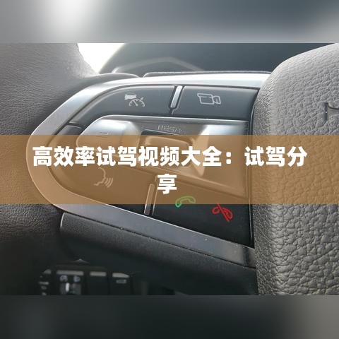 高效率試駕視頻大全:試駕分享