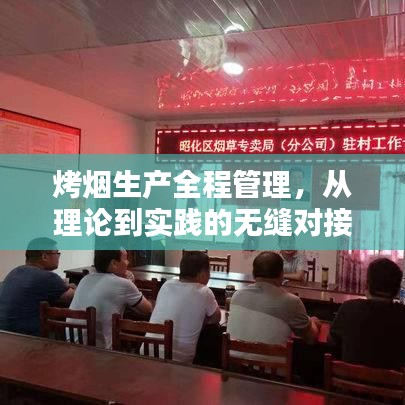 烤煙生產全程管理,從理論到實踐的無縫對接