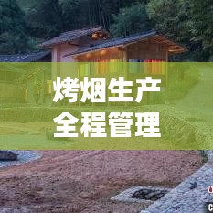 烤煙生產全程管理,從理論到實踐的無縫對接