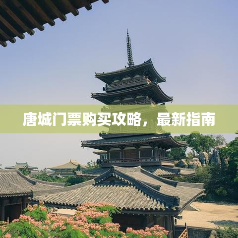 唐城門票購買攻略,最新指南