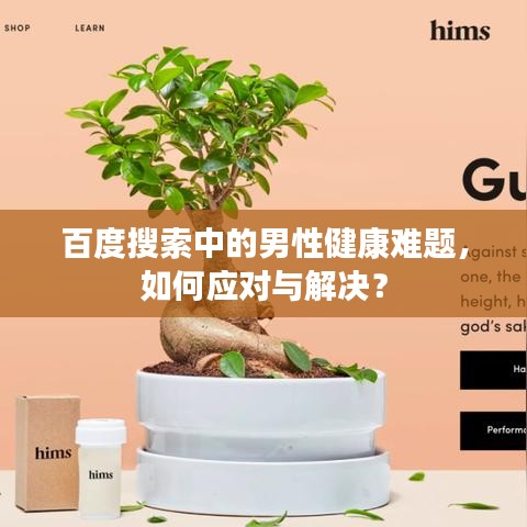 百度搜索中的男性健康難題,如何應對與解決?