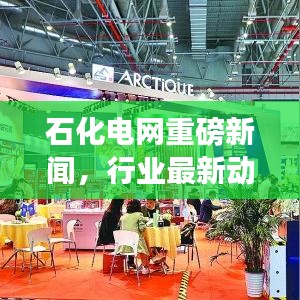 石化電網重磅新聞,行業最新動態及未來展望揭秘