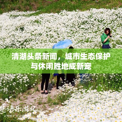 清湖頭條新聞,城市生態保護與休閑勝地成新寵
