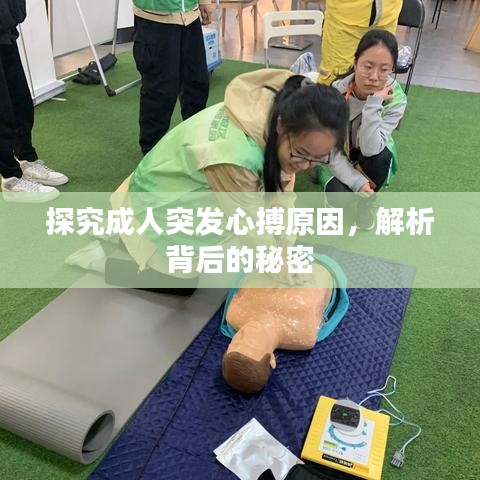 探究成人突發心搏原因,解析背后的秘密