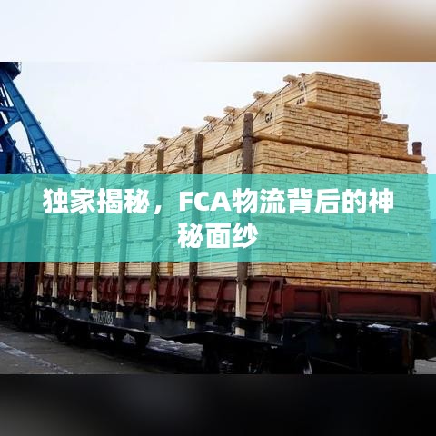 獨家揭秘，FCA物流背后的神秘面紗