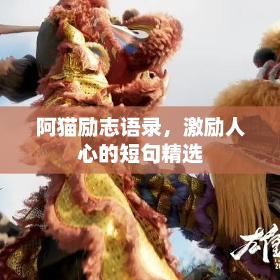 阿貓勵志語錄,激勵人心的短句精選