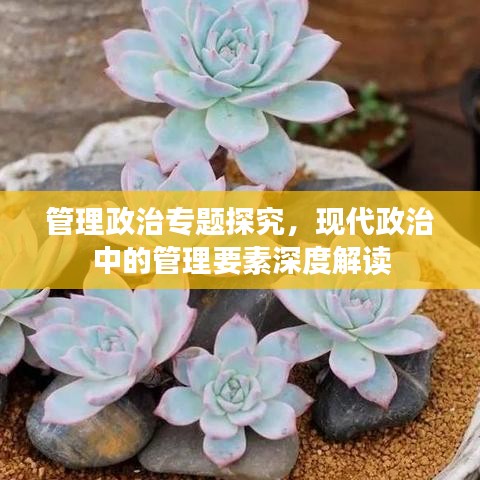 管理政治專題探究,現(xiàn)代政治中的管理要素深度解讀