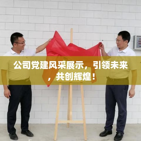 公司黨建風(fēng)采展示,引領(lǐng)未來,共創(chuàng)輝煌!