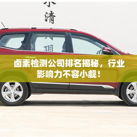 鹵素檢測公司排名揭秘，行業(yè)影響力不容小覷！