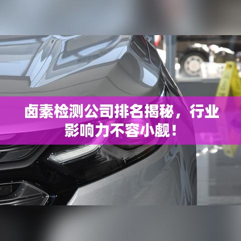 鹵素檢測公司排名揭秘,行業(yè)影響力不容小覷!