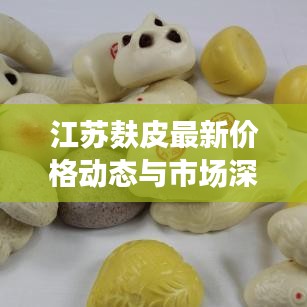 江蘇麩皮最新價格動態(tài)與市場深度解析