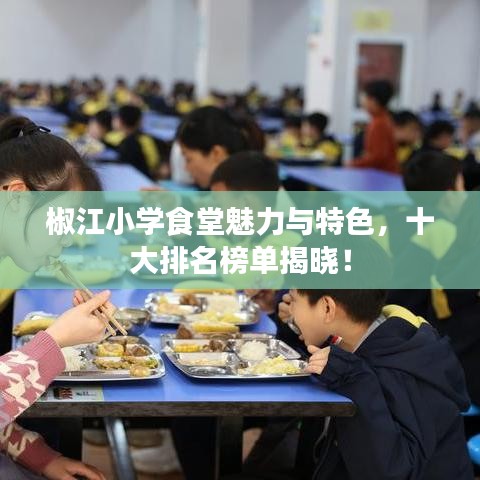 椒江小學(xué)食堂魅力與特色,十大排名榜單揭曉!