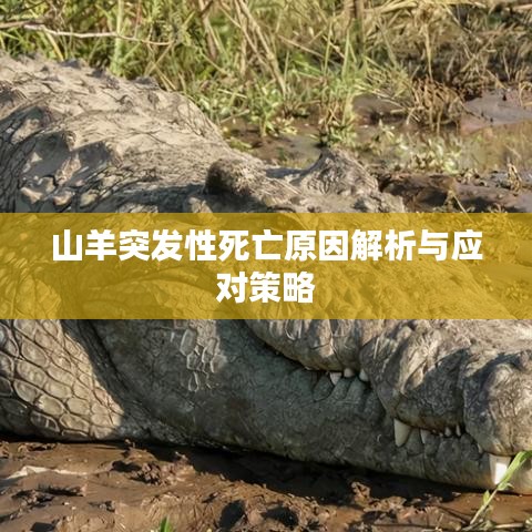 山羊突發(fā)性死亡原因解析與應(yīng)對(duì)策略