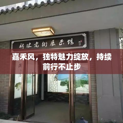 嘉禾風,獨特魅力綻放,持續(xù)前行不止步