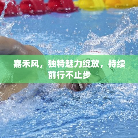 嘉禾風,獨特魅力綻放,持續(xù)前行不止步