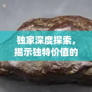 獨(dú)家深度探索,揭示獨(dú)特價(jià)值的奧秘之旅