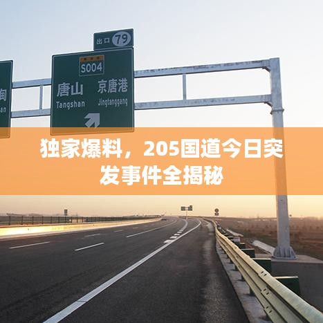 獨家爆料,205國道今日突發事件全揭秘
