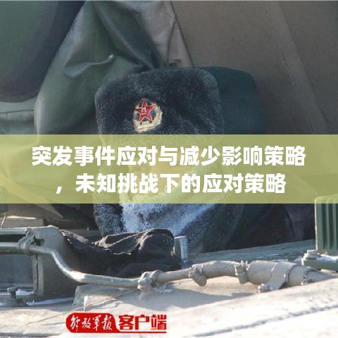 突發事件應對與減少影響策略，未知挑戰下的應對策略