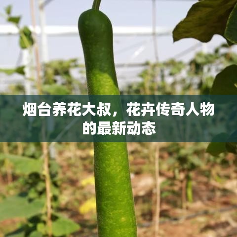 煙臺養花大叔,花卉傳奇人物的最新動態