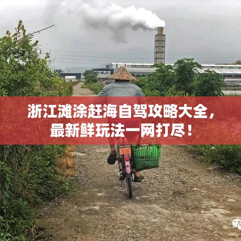 浙江灘涂趕海自駕攻略大全,最新鮮玩法一網打盡!