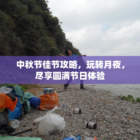 中秋節(jié)佳節(jié)攻略,玩轉(zhuǎn)月夜,盡享圓滿節(jié)日體驗