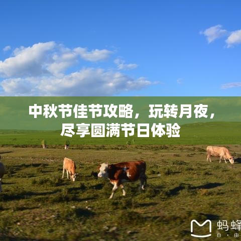 中秋節(jié)佳節(jié)攻略,玩轉(zhuǎn)月夜,盡享圓滿節(jié)日體驗