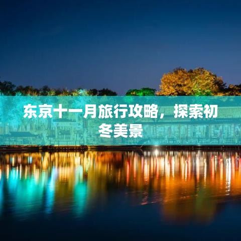東京十一月旅行攻略,探索初冬美景