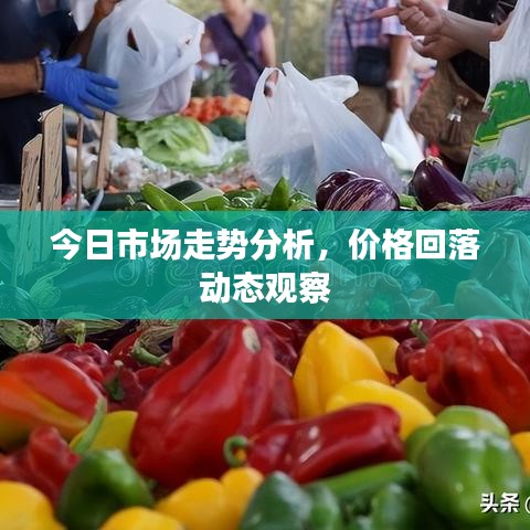 今日市場走勢分析,價格回落動態觀察