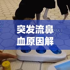 突發流鼻血原因解析，處理及預防措施全攻略