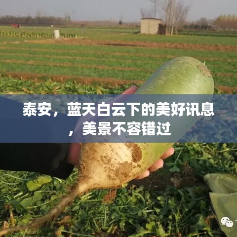 泰安,藍(lán)天白云下的美好訊息,美景不容錯(cuò)過(guò)