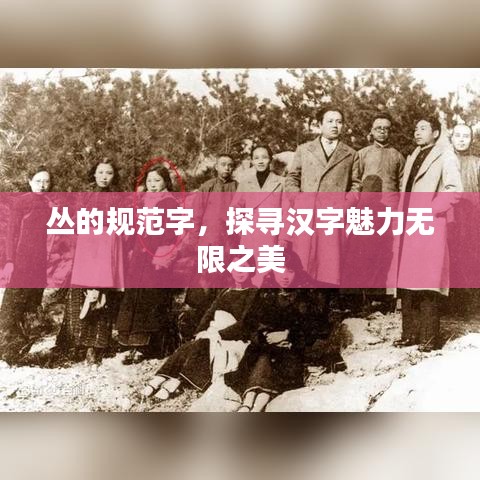 叢的規范字,探尋漢字魅力無限之美