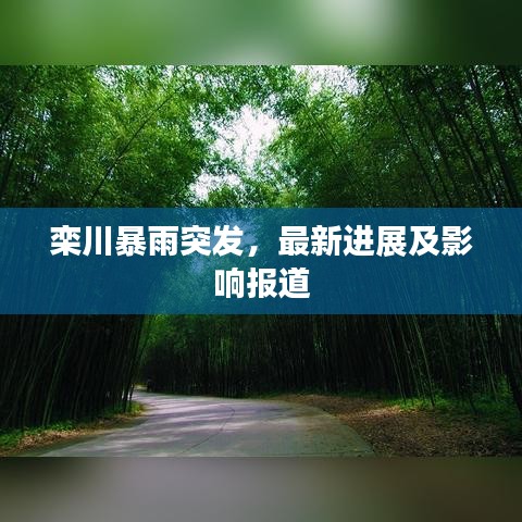 欒川暴雨突發,最新進展及影響報道