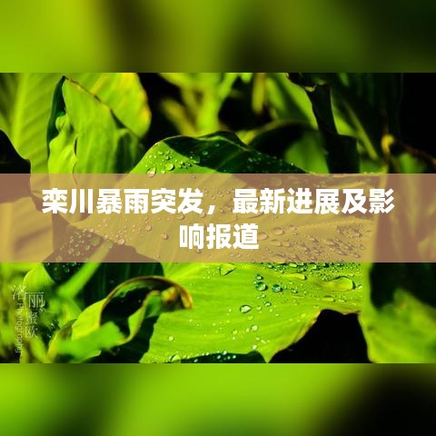 欒川暴雨突發,最新進展及影響報道
