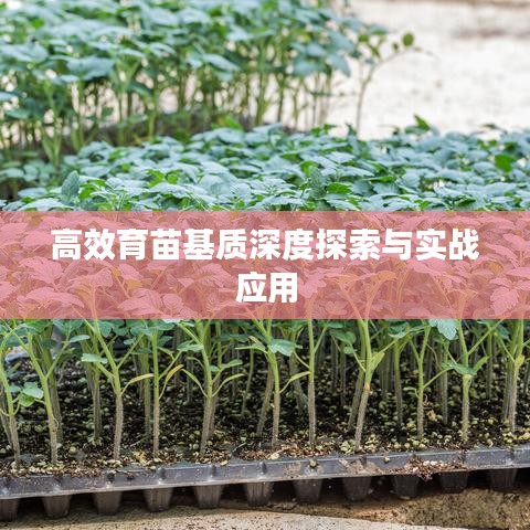 高效育苗基質深度探索與實戰應用