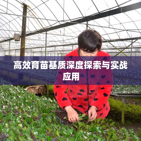 高效育苗基質深度探索與實戰應用