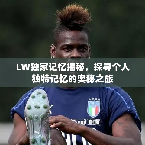 LW獨家記憶揭秘,探尋個人獨特記憶的奧秘之旅