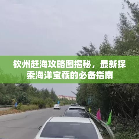 欽州趕海攻略圖揭秘,最新探索海洋寶藏的必備指南