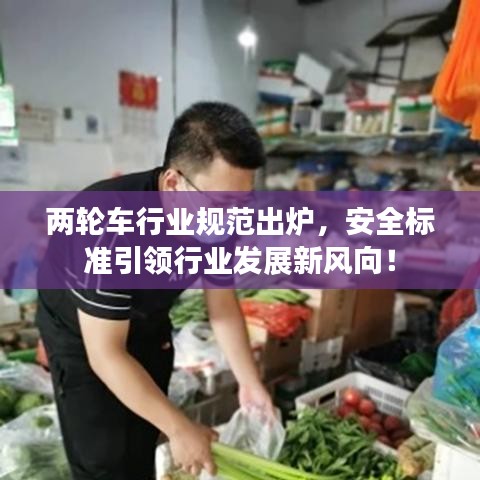 兩輪車行業規范出爐,安全標準引領行業發展新風向!