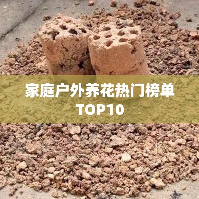 家庭戶外養(yǎng)花熱門榜單TOP10