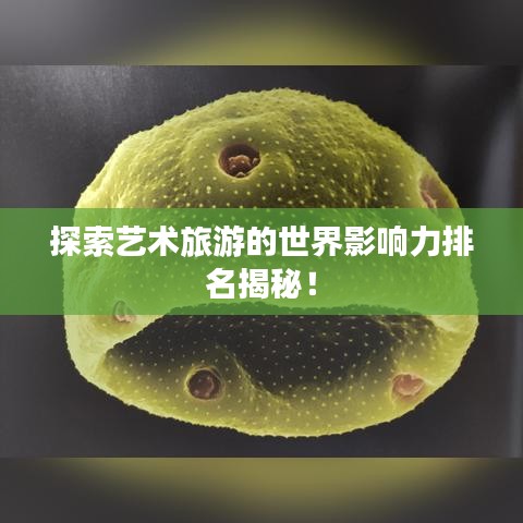 探索藝術旅游的世界影響力排名揭秘!