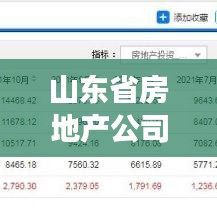山東省房地產(chǎn)公司排名揭秘,影響力榜單重磅出爐!