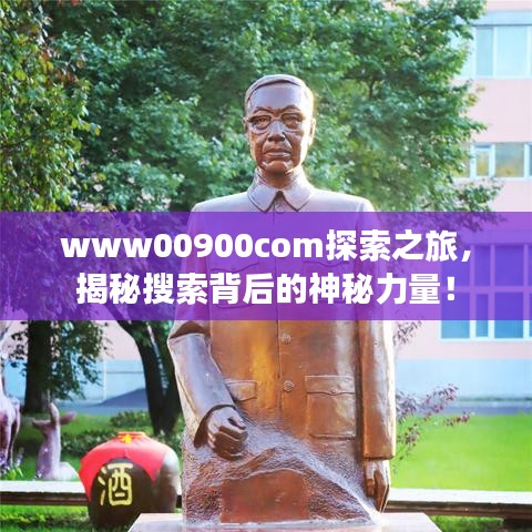 www00900com探索之旅,揭秘搜索背后的神秘力量!