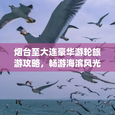 煙臺至大連豪華游輪旅游攻略,暢游海濱風(fēng)光,盡享海上盛宴!
