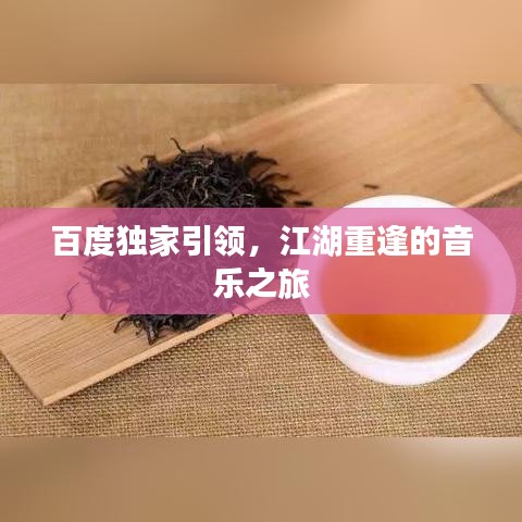 百度獨家引領,江湖重逢的音樂之旅